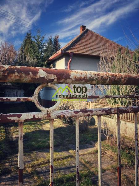 A family house in Horné Chlebany, fencing with a touch of patina, and a garden.