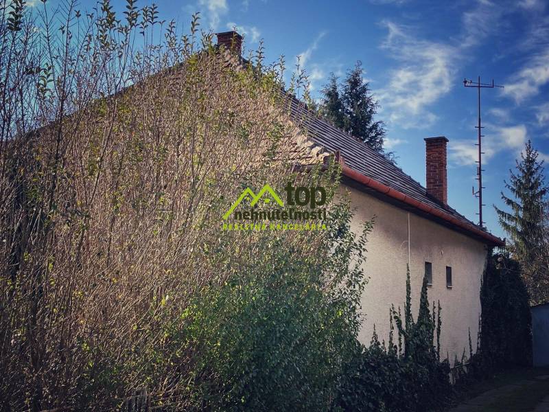 A family house in Horné Chlebany surrounded by dense greenery and thick trees.
