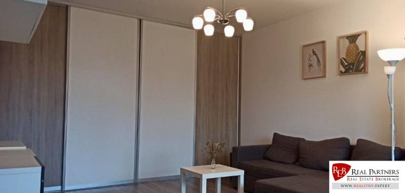 Living room with a sofa, table, and wooden decor flooring in a two-room apartment.