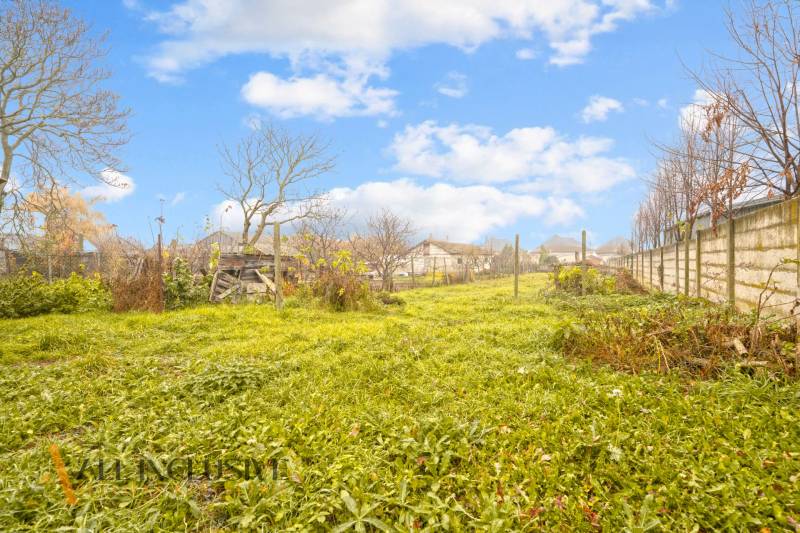 7 - 2025-11-21T095012.920.jpg