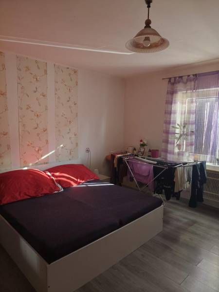 WhatsApp Image 2026-02-09 at 11.06.13 (11).jpeg