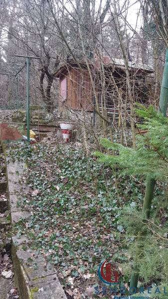 Chata na Výtockej ulici v Moravanoch nad Váhom obklopená stromami a krami.