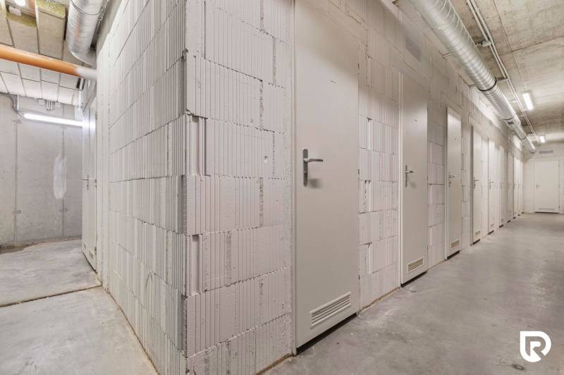 831273_926c86c9a4192458059cd30fd520b88b (1).jpg