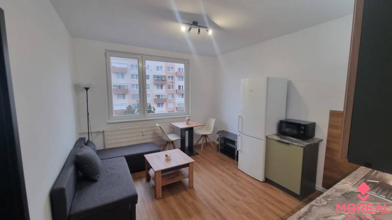 Living room of a one-room apartment with a sofa, table, and wooden decor flooring.