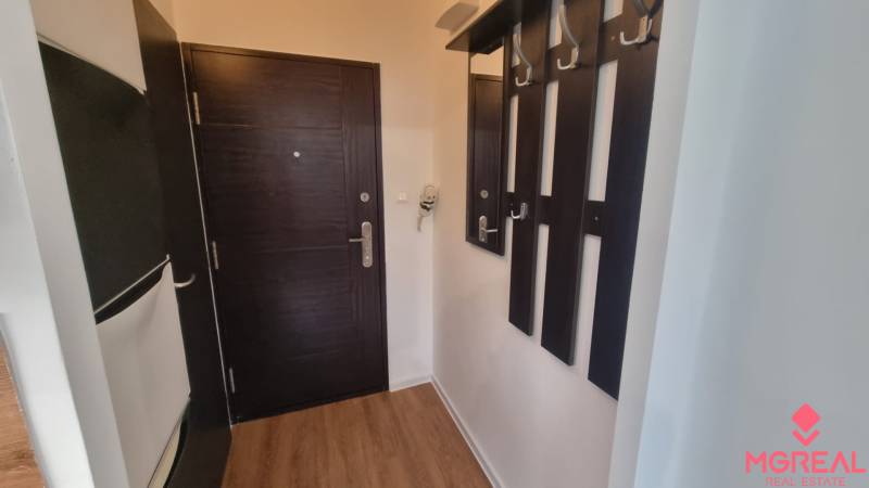 Hallway with wood-patterned flooring and dark furniture, studio apartment.