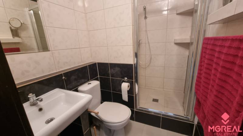 Bathroom with a shower and toilet in a studio apartment, styled in dark tones.