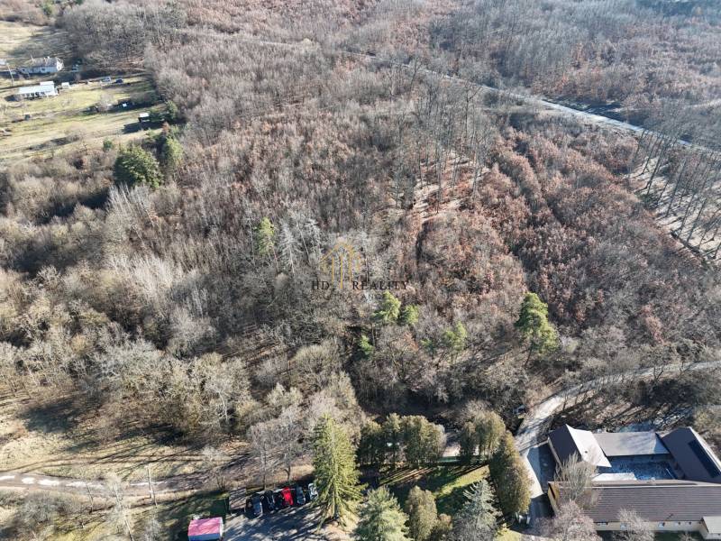 Wooded landscape in Krupina suitable for plots - housing.