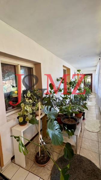 A hallway of a family house full of plants with tiles and large windows.