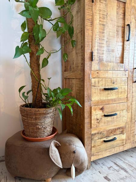 A flowerpot with a climbing plant on a brown-gray ottoman next to a wooden cabinet.