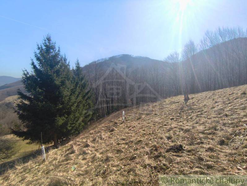 A sunny plot in the Gardens of Nová Baňa surrounded by forests and mountains.