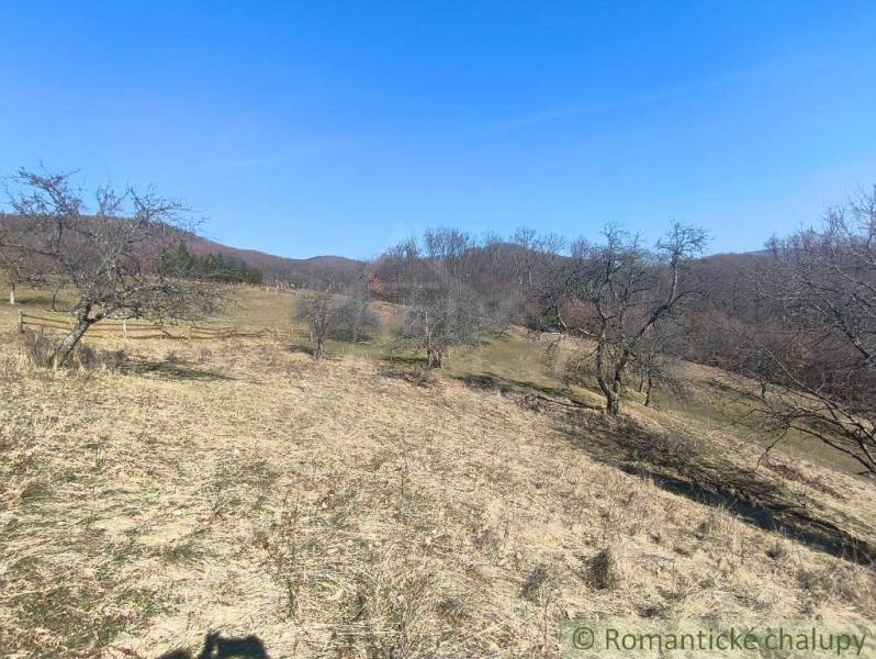 Terraced gardens around Nová Baňa with bare trees and a blue sky.