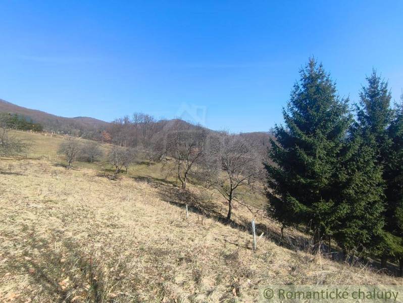 Rolling landscape in the Gardens near Nová Baňa with grassy areas and trees.