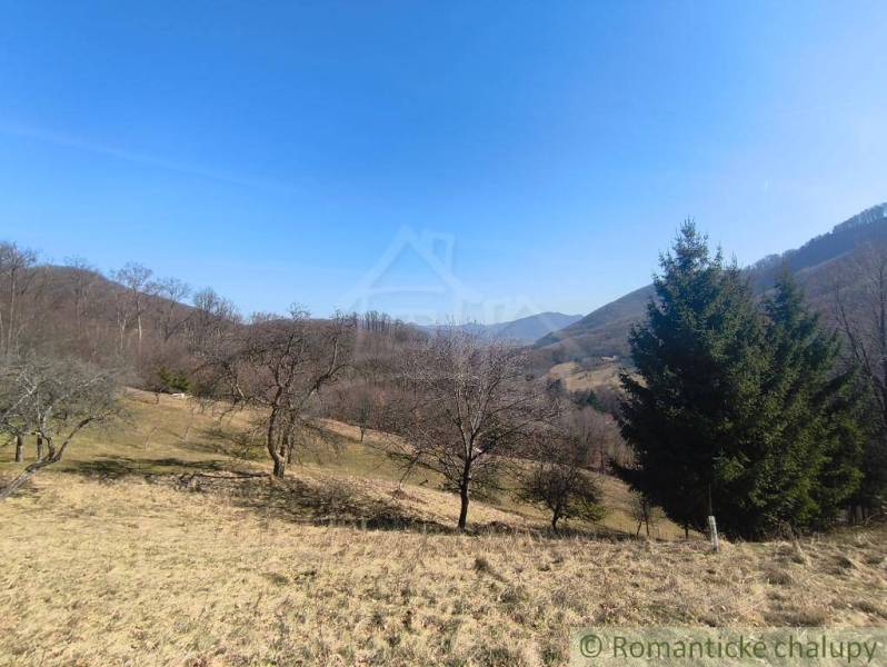 The natural landscape around Nová Baňa with trees and hills in Záhrady.