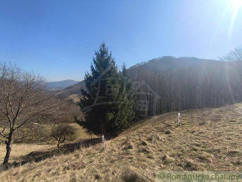 A landscape with trees and hills around Nová Baňa in the gardens.