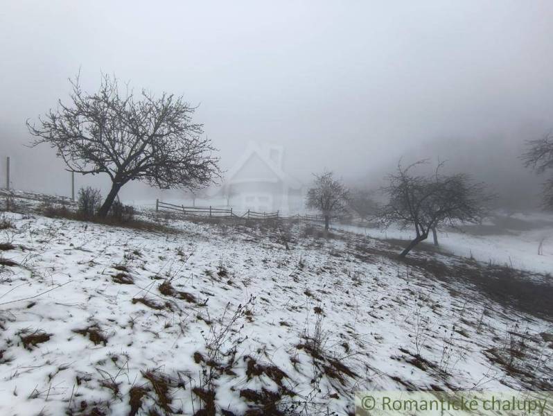 A snowy winter landscape in the Gardens near Nová Baňa with a misty atmosphere.