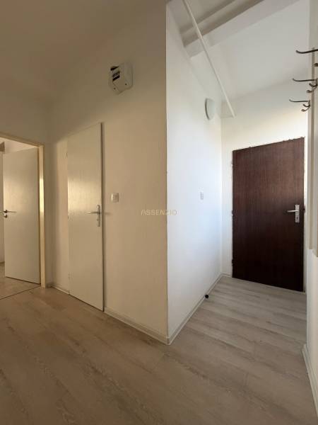 A hallway with a wooden decor floor in a studio apartment.