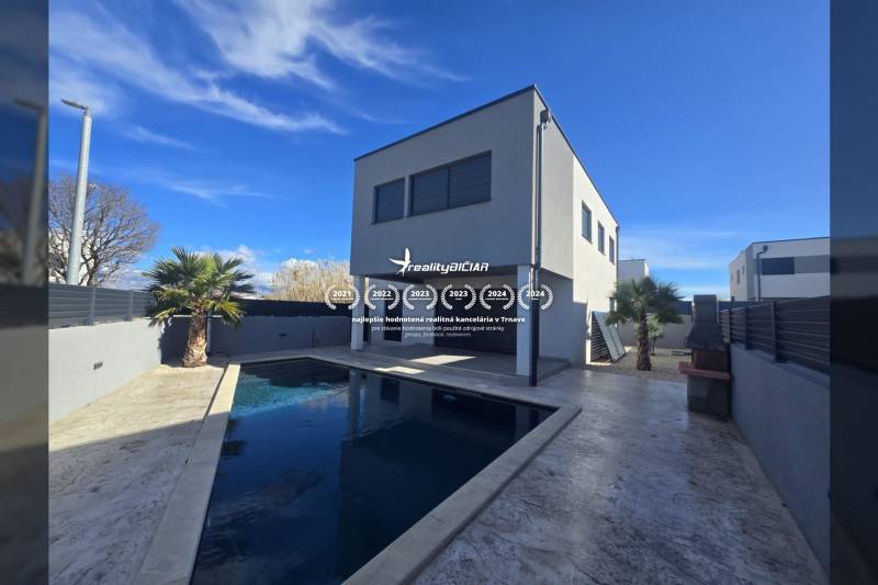 Villa in Zukve, Vrsi with a pool and a palm tree in the yard.