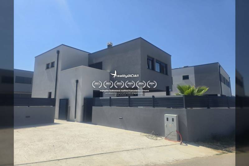 A villa on Zukve Street in Vrsi with modern architecture and a palm tree in the yard.