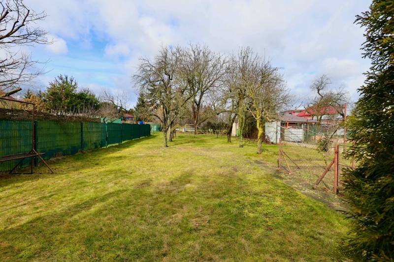 A garden in a family house on Kalinčiakova Street in Michalovce with a lawn and trees.