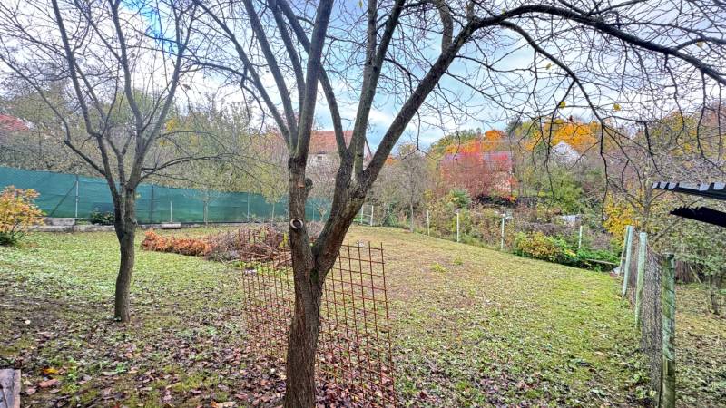 A garden in a family house in Pruské with a tree and colorful leaves in autumn.