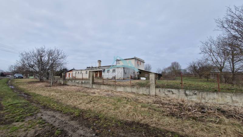 Production premises in Lesenice with a fenced plot, next to a dirt road and trees.
