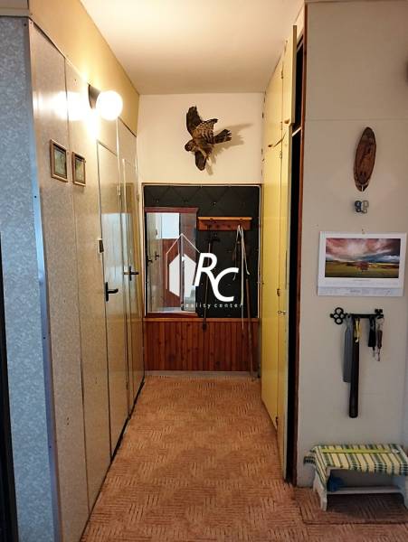 A hallway in a 2-room apartment with a coat rack wall and wall decoration.