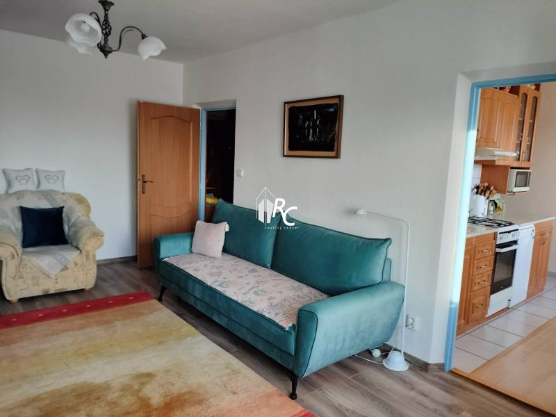 Living room in a two-room apartment with a sofa and an armchair, wooden decor flooring.