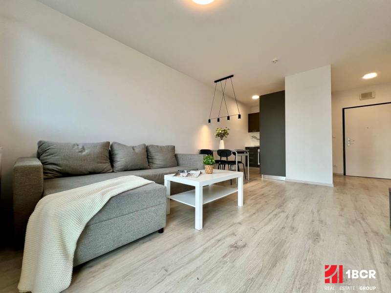A living room with wood-patterned flooring, a sofa, and a dining table in a two-room apartment.