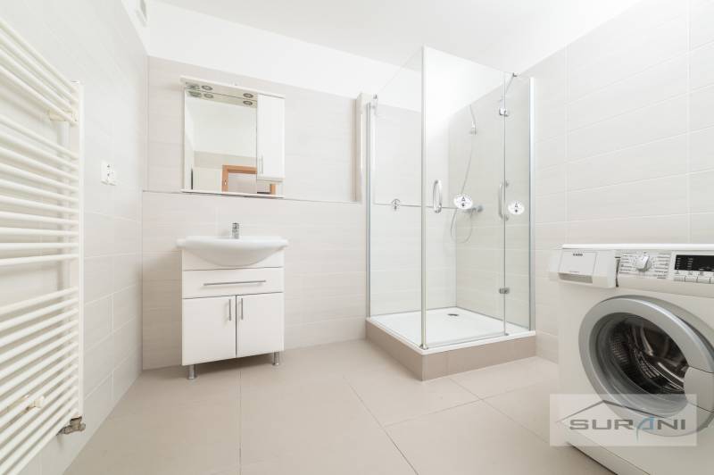 A bathroom in a 3-room apartment with a sink, shower, and washing machine.