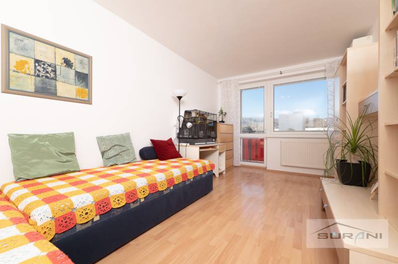 A room in a 3-room apartment with a wooden decor floor, a colorful blanket, and houseplants.