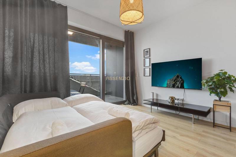 A one-room apartment with a bed, television, plant, and a floor with a wooden decor.