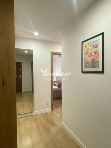 A hallway of a 2-room apartment with a wooden decor floor and a painting on the wall.