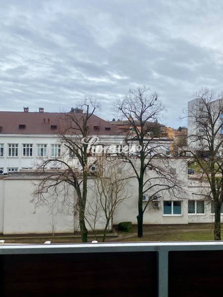 View of the building and trees from a 2-room apartment on Pivovarská Street, Nitra.