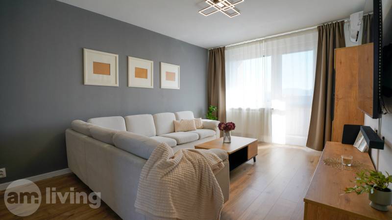 Living room in a 3-room apartment with a sofa and a wooden decor floor.