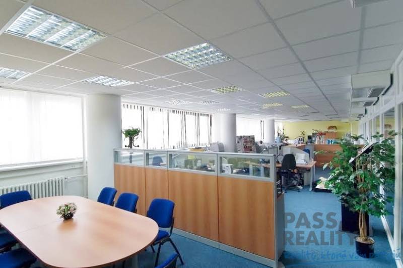 Offices with blue carpet, large windows, divided workspaces, conference table.