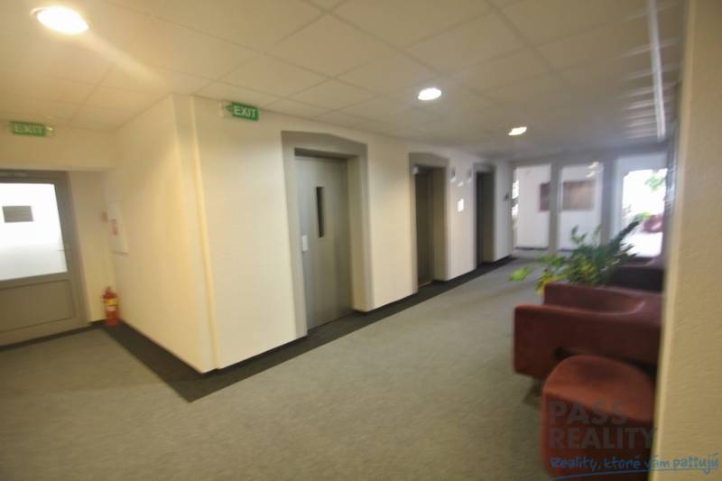 Interior of an office with elevators and a couch, white wall, 
