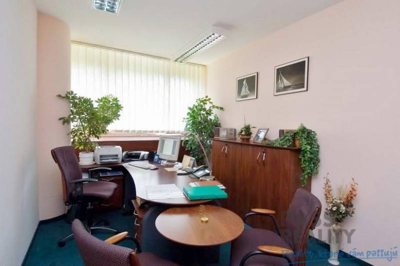 An office with desks, chairs, a computer, and plants, with a carpeted floor.