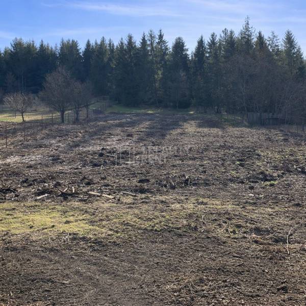 Fruit trees on a plot near the forest in Terchová, ideal for a family house.
