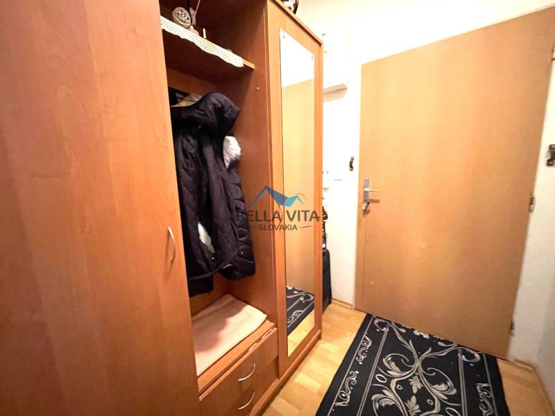 Hallway in a one-room apartment with a wood-patterned floor, coat closet, mirror, carpet.