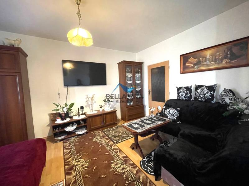 Living room in a studio apartment with carpets and wooden floor decor.