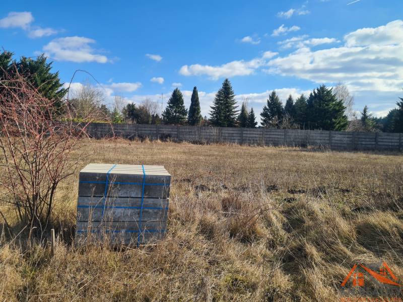 Plots - living in Nové Zámky with a container under a clear blue sky.