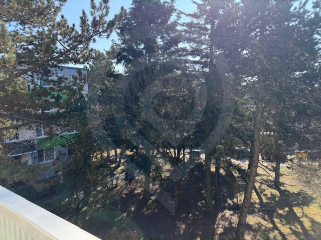 The trees on Ondrejovova Street in Bratislava-Ružinov provide a view from the 3-room apartment.