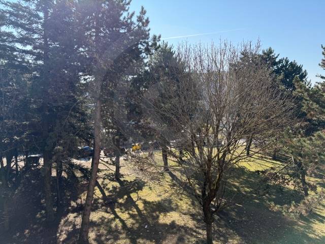 A park in Bratislava-Ružinov on Ondrejovova Street with dense tree cover.