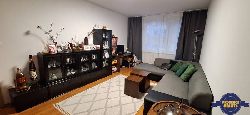 Living room of a 4-room apartment with a sofa, storage cabinets, and a wooden decor floor.