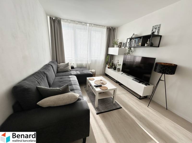 Living room in a two-room apartment with a wooden decor floor and a sofa.