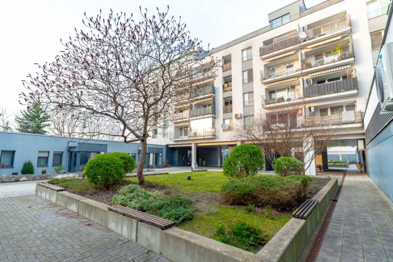 An apartment building on Hrachova Street in Bratislava - Ružinov surrounded by greenery with a tree and shrubs.