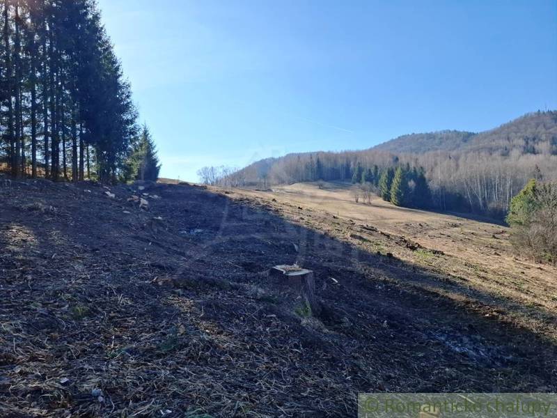 Agricultural and forest lands in Hronec, bordered by a row of trees and hills.