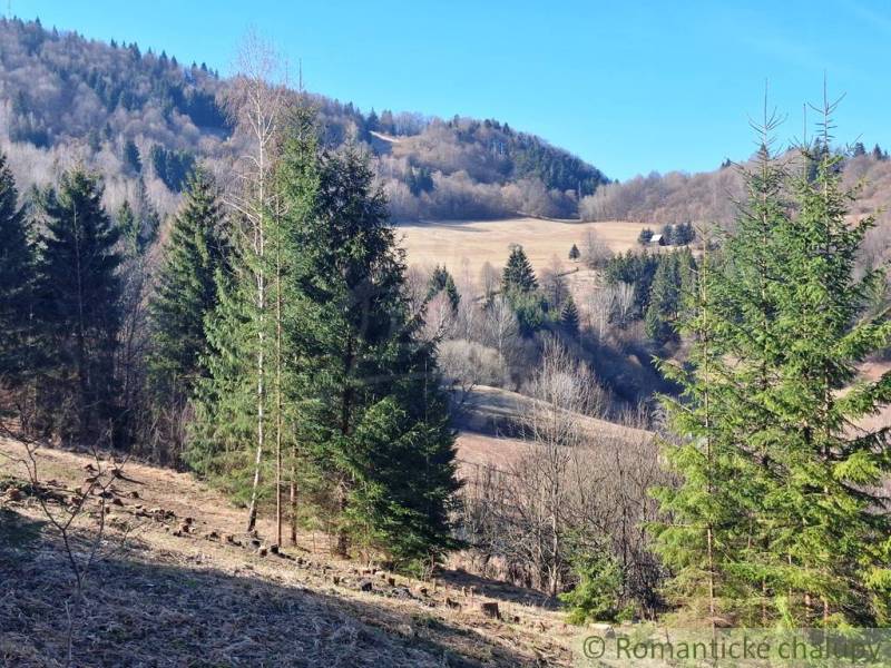 Hills covered with forests and clearings with agricultural and forest lands in Hronec.