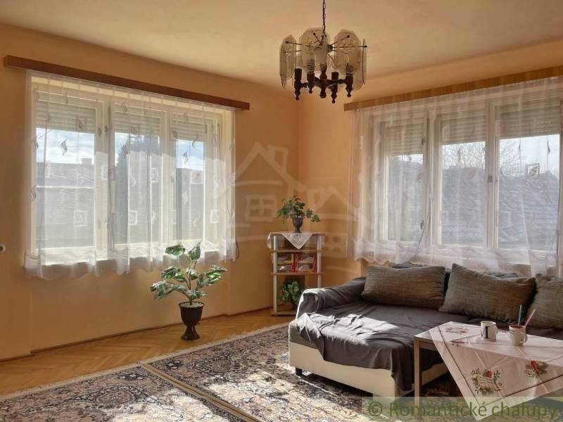 Living room in a family house with a sofa, table, plant, and wooden decor flooring.