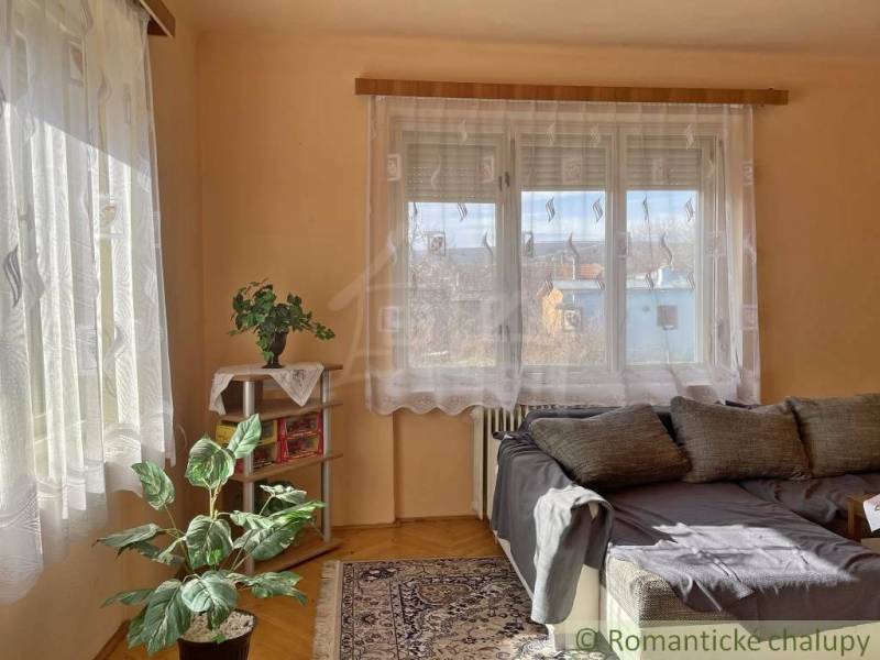 A room in a family house with a sofa, a plant, a carpet, and a bookshelf with books.
